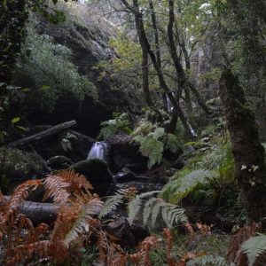 foto para el icono de caminar.es